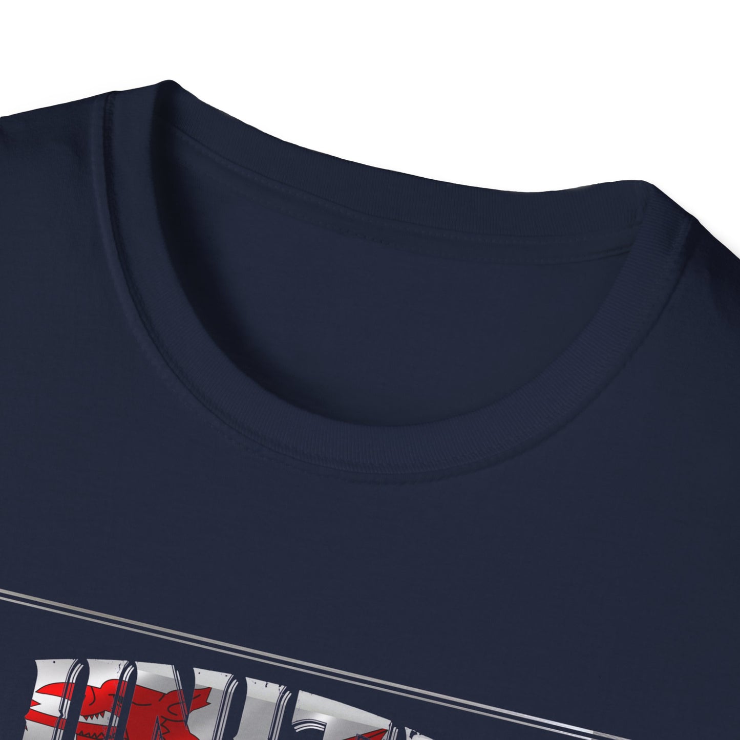Unite The Kingdom T-Shirt – Wales, Patriotic Call To Action Shirt