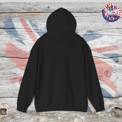 HEAL OUR LAND | 2 CHRONICLES 7:14 | Christian Patriotic Black Hoodie